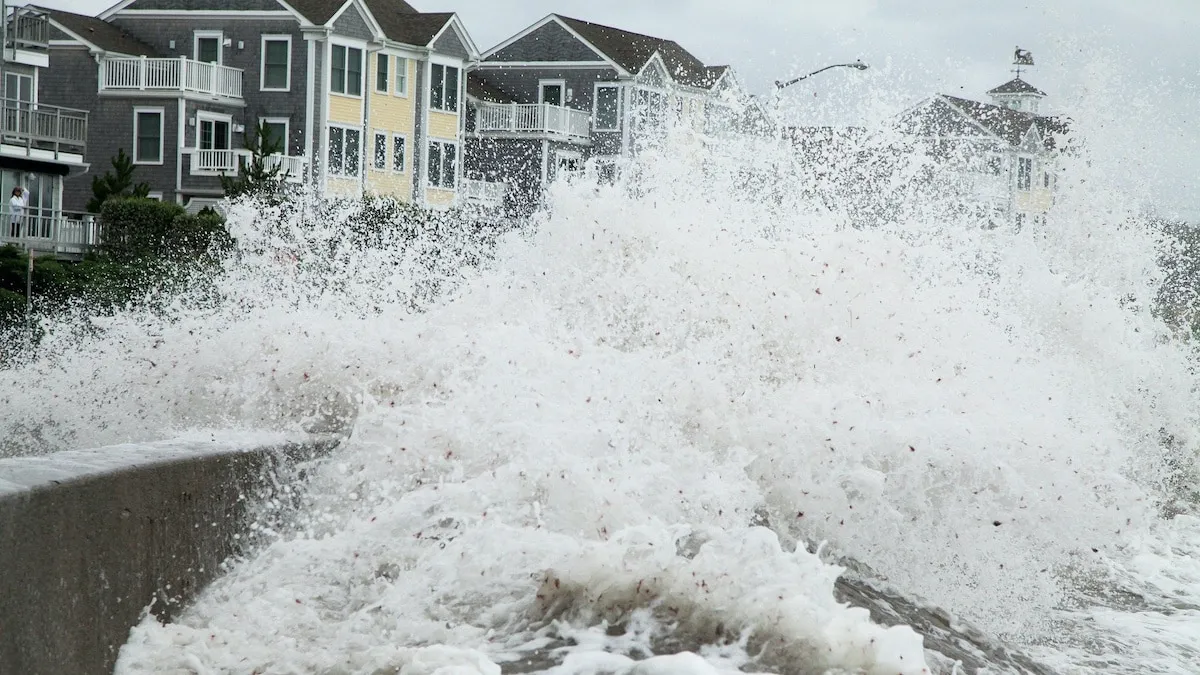 Step-by-step flood-zone & storm-surge check