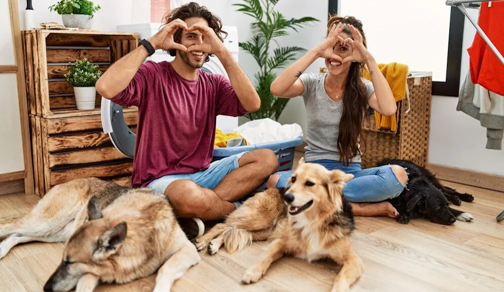 Consider Private Homes & Vacation Rentals for You and Your Pet