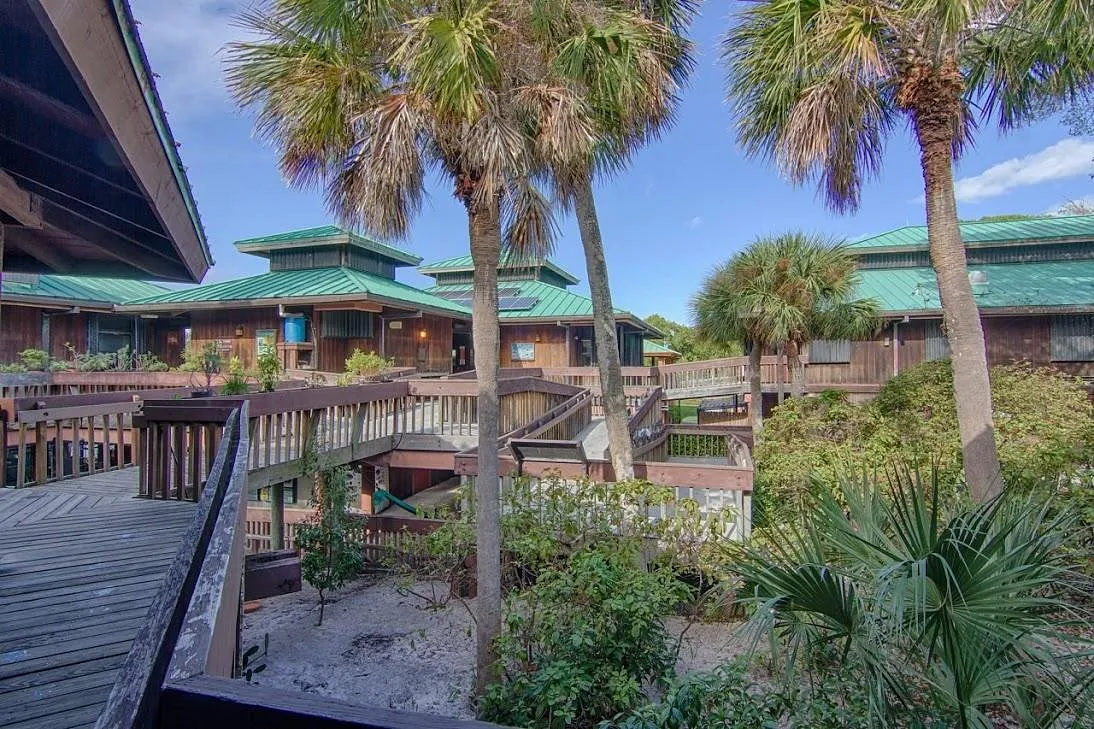 Gumbo Limbo Nature Center – Learning Through Nature in Boca Raton