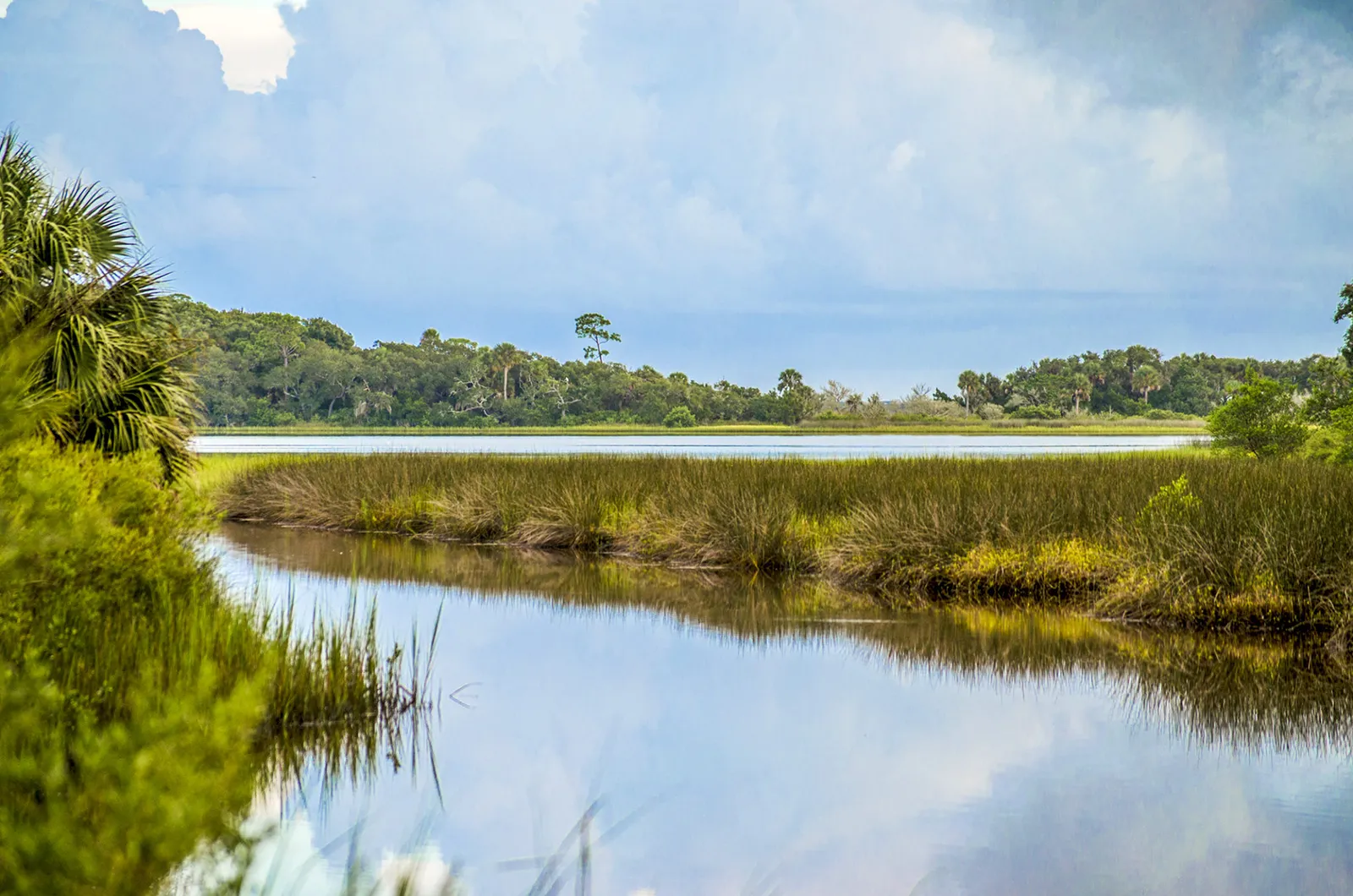 Pellicer Creek Aquatic Preserve fishing in palm coast