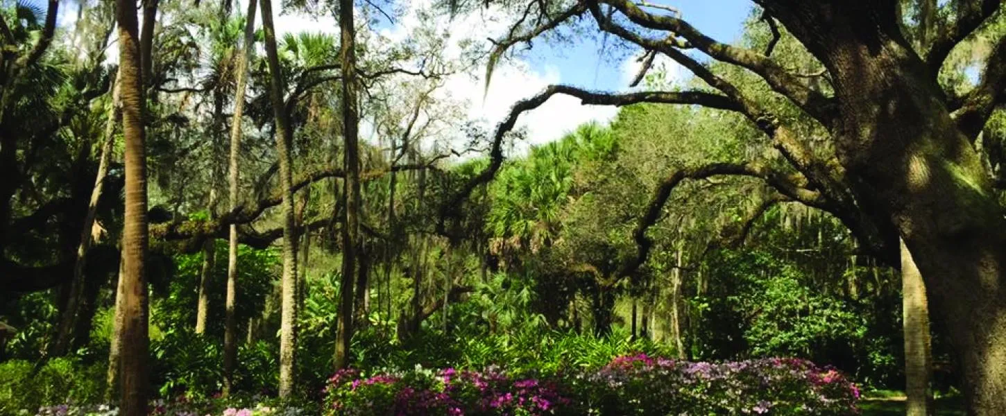 Top Attractions Near Palm Coast for Renters