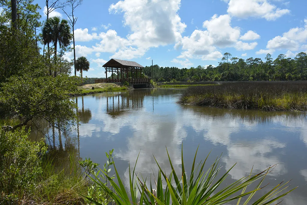 Princess Place Preserve