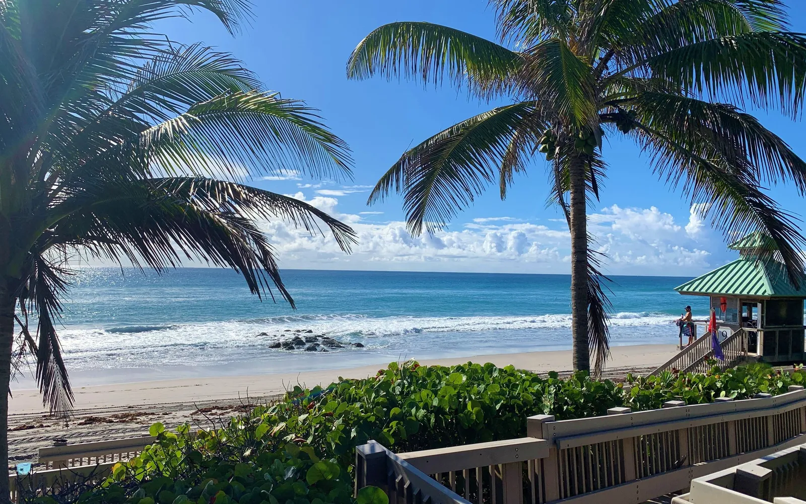 Winter Holidays in Boca Raton