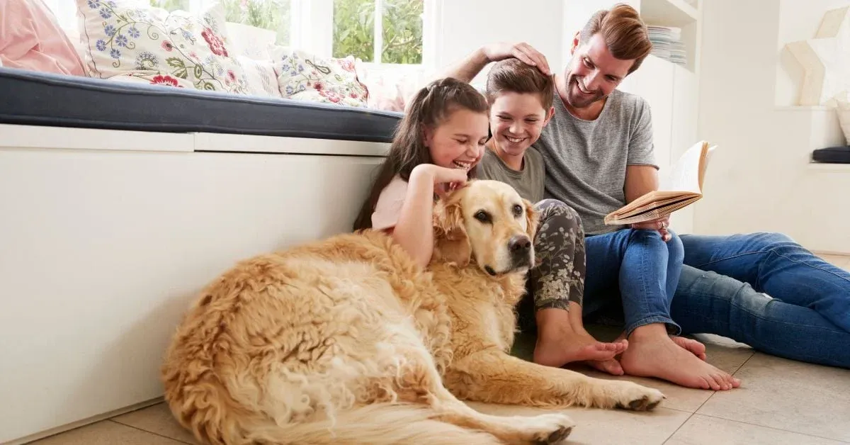 A Guide to Pet-Friendly Rentals in Boca Raton, Deerfield Beach, and Palm Coast