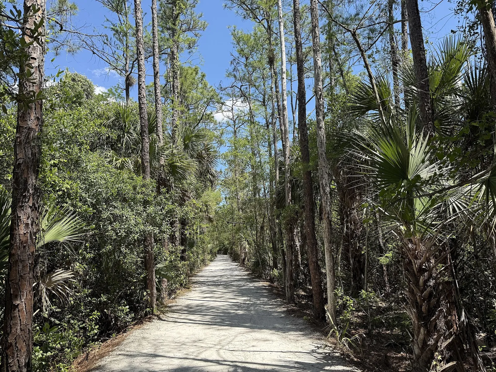 Wooded walking trail through Riverbend Park in Jupiter, Florida