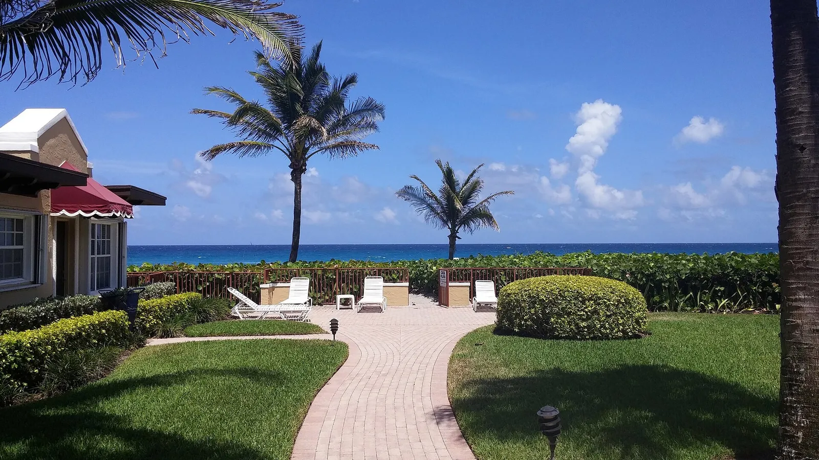 Oceanfront palms and walkway at a Boca Raton beach