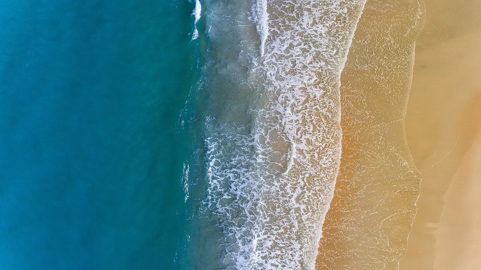 Palm Coast P-Section Guide to Remote Work, Commutes, Internet, and Rent